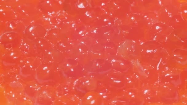 Les Œufs Saumon Tournent Cercle Caviar Rouge Gros Plan — Video