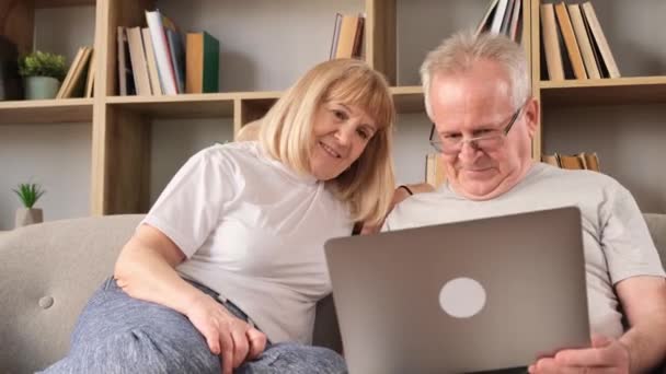 Cheerful Senior Couple Using Laptop While Sitting Sofa Smiling Happy — Stock Video
