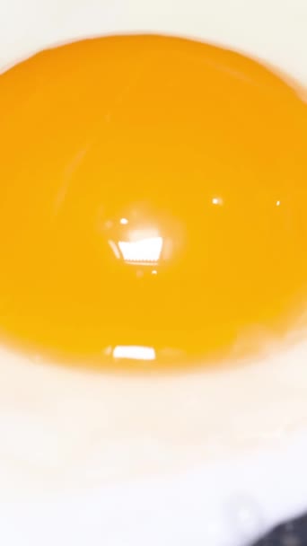 Cooking Egg Pan Cooking Fried Egg Vertical Video — Stock Video