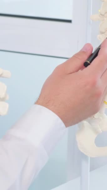 一位年轻的专业眩晕学家医生使用后模进行会诊 肌骨骼系统问题的可视化显示 垂直录像 — 图库视频影像