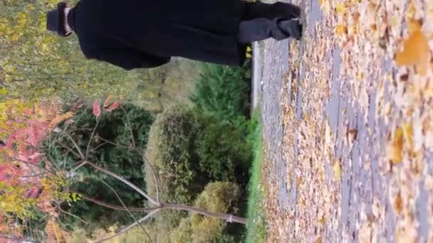 Ein Einsamer Alter Mann Geht Durch Einen Herbstlichen Park Seine — Stockvideo