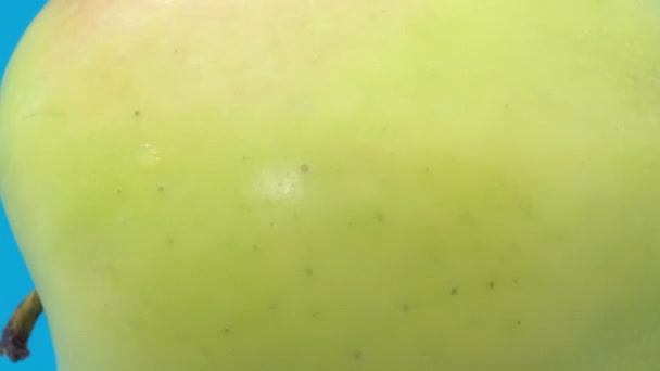 Τέλειο Φρέσκο Πράσινο Μήλο Απομονωμένο Μπλε Φόντο Υγιεινά Φρούτα Κοντινό — Αρχείο Βίντεο