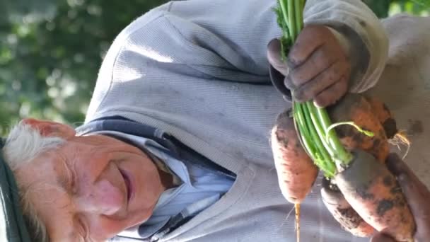 Egy Idősebb Férfi Farmer Áll Mezőn Frissen Szedett Répát Tart — Stock videók