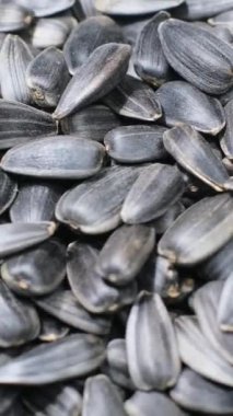 Çemberde dönen siyah ayçiçeği tohumlarının yakın çekimi. Ay çekirdeği ürünü. Dikey video.