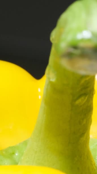 Yellow Pepper Rotates Black Background Macro Video Vertical Video — Stock Video