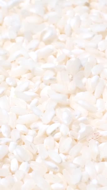 Makrovideo Von Reiskörnern Die Sich Kreis Drehen Asiatisches Essen Vertikales — Stockvideo