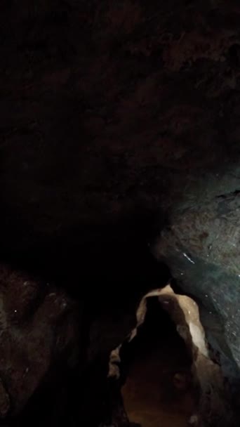Professional Archaeologist Illuminates Explores Dark Cave Archeology Concept Vertical Video — Stock Video