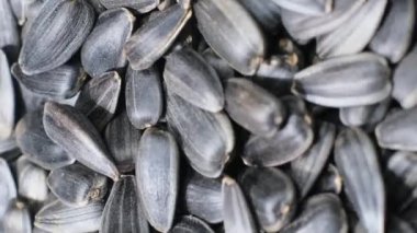 Çemberde dönen siyah ayçiçeği tohumlarının yakın çekimi. Ay çekirdeği ürünü. Dikey video.