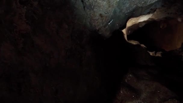 一位专业考古学家照亮并探索了一个黑暗的洞穴 考古学概念 垂直录像 — 图库视频影像