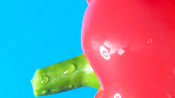 水滴のある青い背景の赤パプリカペッパー 新鮮な野菜 クッキングコンセプト バーティカルビデオ — ストック動画