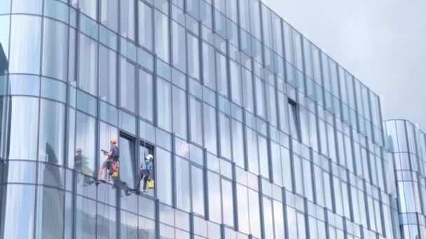 Munkások Ablakokat Mosnak Egy Üveg Felhőkarcolón Ablakmosóként Dolgozni — Stock videók