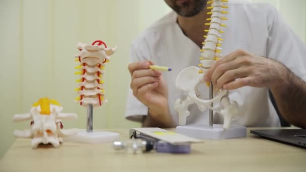 Seorang Dokter Ortopedi Menunjukkan Model Anatomi Tulang Belakang Obat Modern — Stok Video