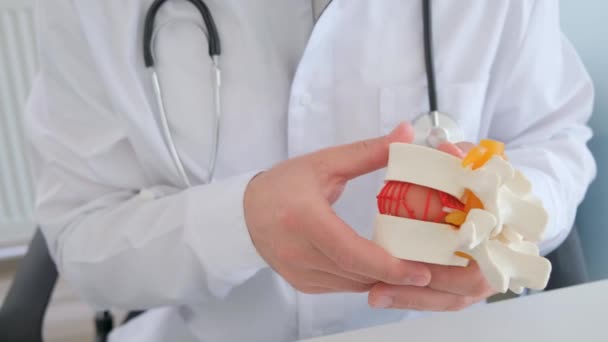 Omurgalı Bir Doktor Kas Iskeleti Sisteminin Kapsamlı Tedavisi Ile Ilgilenen — Stok video