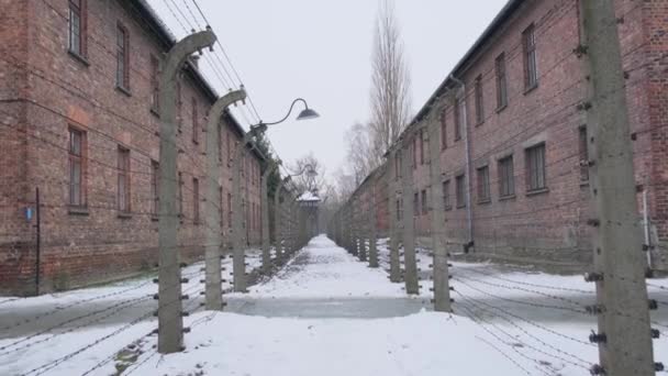Wideo Niesamowitych Budynków Obozu Auschwitz Birkenau Drutem Kolczastym Ponure Przypomnienie — Wideo stockowe