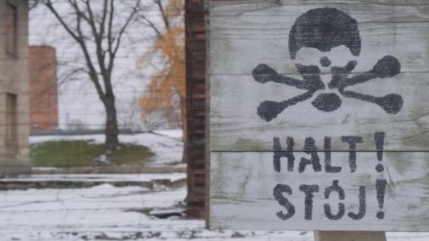 Signo Muerte Cráneo Sobre Una Tabla Madera Auschwitz Invierno Sobre — Vídeo de stock
