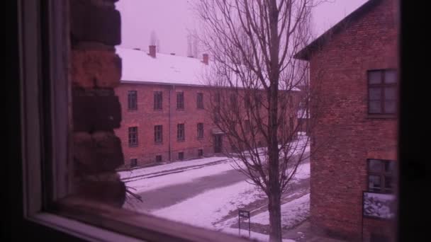 ポーランド強制収容所のレンガ造りの建物 アウシュビッツ キャンプ窓からの眺め ユダヤ人拷問の場所 — ストック動画