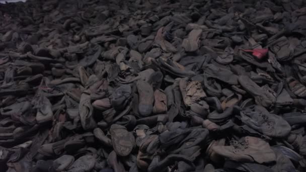 Een Stapel Schoenen Van Gevangenen Gedood Het Vernietigingskamp Van Auschwitz — Stockvideo