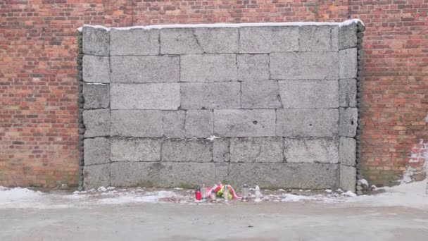 アウシュビッツ収容所でのユダヤ人の処刑の壁 ナチスによるユダヤ人の残虐な殺害の不気味な場所 記憶の花が付いている記憶壁 — ストック動画