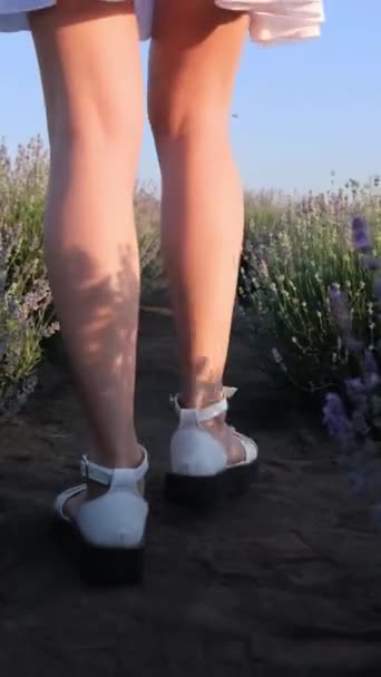 一个穿着白色凉鞋的女人站在薰衣草地里 她的白色衣服在微风中摇曳着 她欣赏着这些生机勃勃的植物 — 图库视频影像