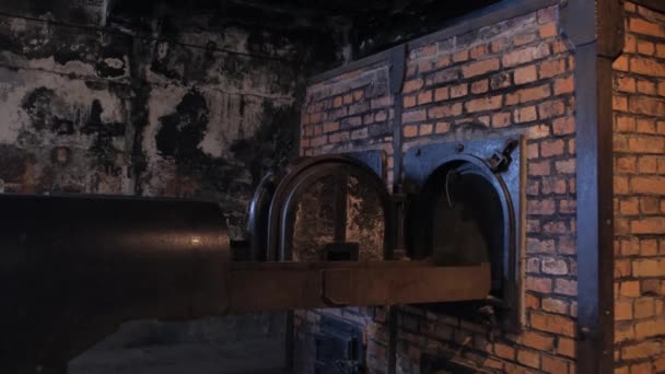 Camera Ardente Auschwitz Polonia Terribile Luogo Tortura Degli Ebrei Genocidio — Video Stock