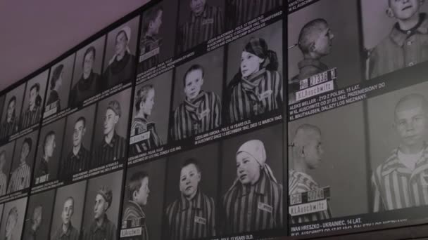 Retratos Jovens Adolescentes Prisioneiros Campo Morte Auschwitz Genocídio Dos Judeus — Vídeo de Stock