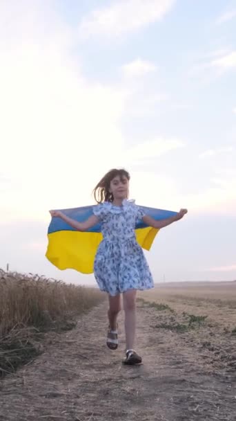 Uma Menina Feliz Vestida Azul Segura Uma Bandeira Com Cores — Vídeo de Stock