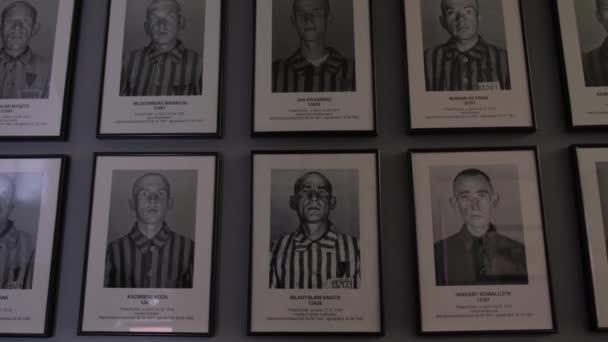 Retratos Prisioneros Varones Del Campo Exterminio Auschwitz Genocidio Los Judíos — Vídeo de stock