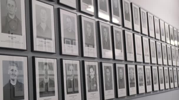 Ściana Zdjęciami Żydowskich Więźniów Obozu Koncentracyjnego Auschwitz Straszna Zagłada Żydów — Wideo stockowe