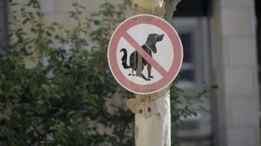 Yol üzerinde bitkiler, ağaçlar, çimenler ve motorlu araçlar bulunan bir arazide, bir binanın önündeki direğe köpek olmayan bir mesajı gösteren bir tabela iliştirilmiştir..