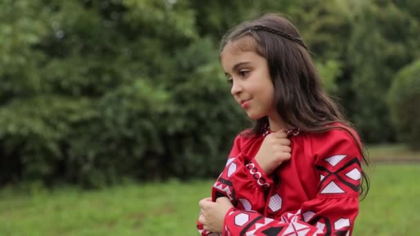 Una Bambina Felice Con Una Giacca Rossa Sorridente Trova Campo — Video Stock