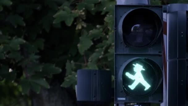 作为交通管理的象征 绿色交通灯展示了一个戴帽子的人 它是一个信号 指示车辆在触及草坪的汽车轮胎中行驶 — 图库视频影像