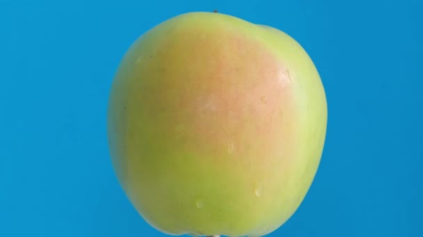 一个绿色苹果的特写 一种开花植物的无核果实 它是一种天然食物和营养丰富的超级食物 当地生产 — 图库视频影像
