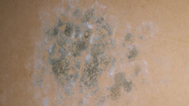 一种在褐色硬木地板上的模子的视觉艺术表现 类似于具有土壤般的纹理的木材上的景观图案 — 图库视频影像