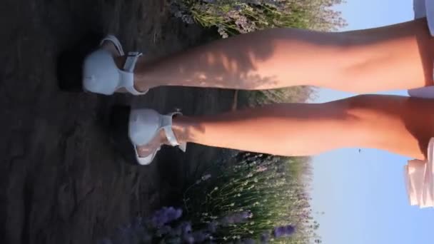 Žena Bílých Sandálech Stojí Levandulovém Poli Její Bílé Šaty Houpají — Stock video