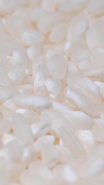 Bir Yığın Beyaz Pirinç Tanesinin Detaylı Bir Görüntüsü Çeşitli Mutfak — Stok video