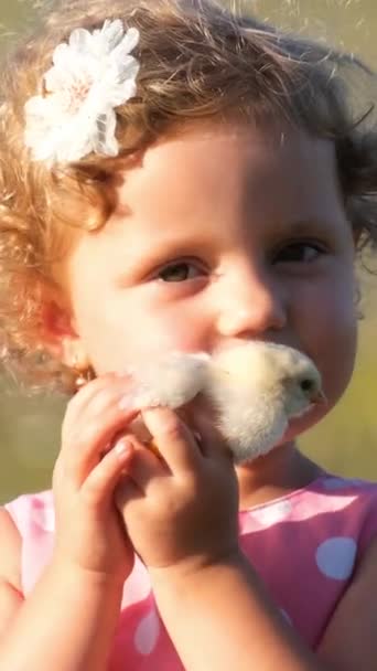 Bambina Culla Delicatamente Piccolo Pollo Tra Mani Sentendo Sue Morbide — Video Stock