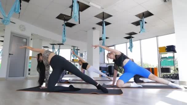 Gruppo Impegnato Nello Yoga Aereo Indossando Abbigliamento Sportivo Pantaloni Attivi — Video Stock