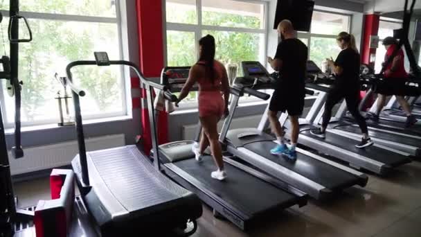Young Woman Beautiful Figure Treadmill Training Gym Fitness Sportswoman Sports — Stock Video