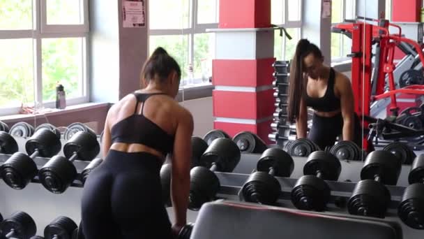 체육관에서 덤벨과 근육을 스포츠 여자는 열심히 훈련합니다 보디빌더 — 비디오