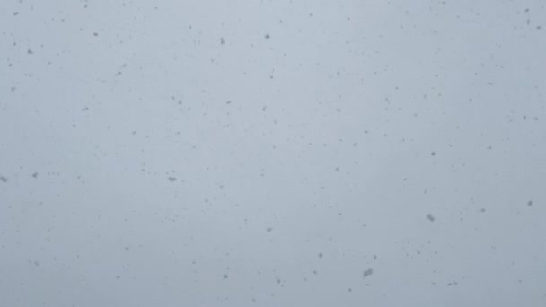 Una Vista Detallada Los Copos Nieve Que Descienden Sobre Una — Vídeos de Stock