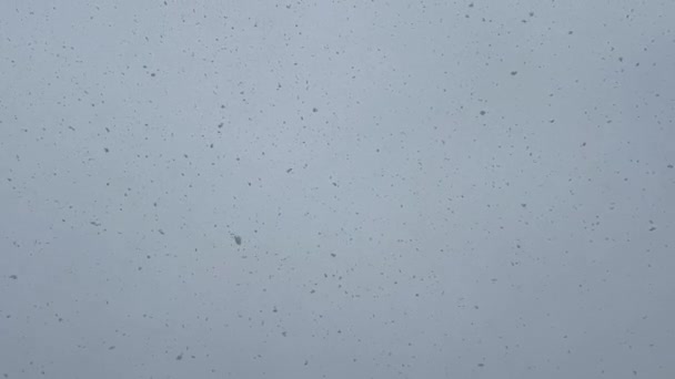 Eine Nahaufnahme Von Schneeflocken Die Von Einem Elektrisch Blauen Himmel — Stockvideo
