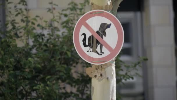 犬のメッセージを表示しない看板は 建物の前にポールに取り付けられ 道路上の植物 自動車の景色の中で — ストック動画