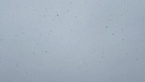 雪崩雪崩雪崩雪崩在雪白的表面上 带着蓝色的天空和积雨云图案的事件 在一个矩形的框架内造成了降水的薄雾 — 图库视频影像