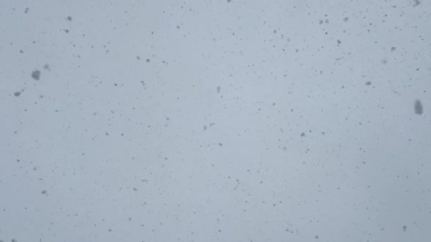 Událost Zachycující Elektricky Modrý Vzor Padajícího Sněhu Zblízka Bílý Povrch — Stock video