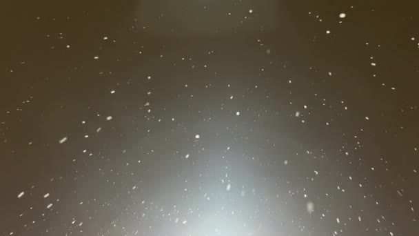 Текст Описывает Галактику Наполненную Многочисленными Звездами Похожими Заполненное Водой Пространство — стоковое видео