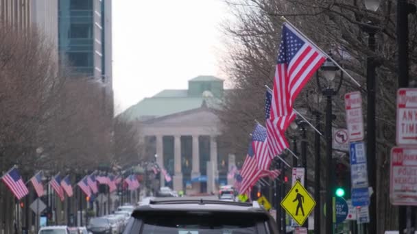 Bandiere Americane Sono Sospese Tra Gli Alberi Lungo Una Strada — Video Stock