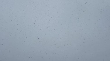 Mavi gökyüzünden süzülen kar tanelerinin yakın çekimi güzel beyaz bir yüzey oluşturur.