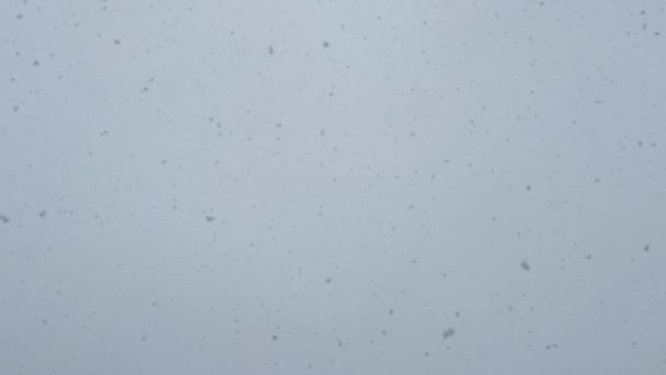 Uma Visão Detalhada Dos Flocos Neve Descendo Sobre Uma Superfície — Vídeo de Stock