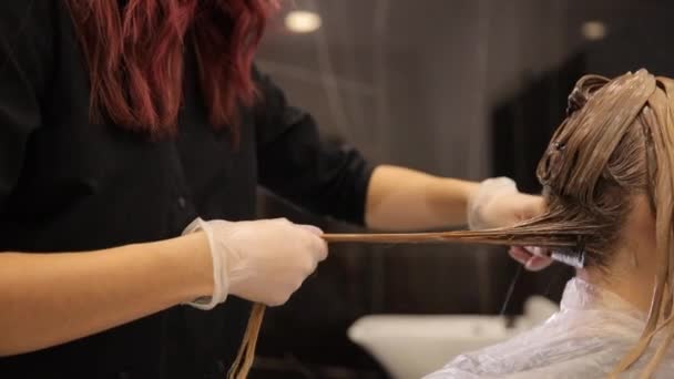 Hairdresser Beauty Salon Applies Her Client Nutritious Natural Ingredients Vitamins — Stock Video