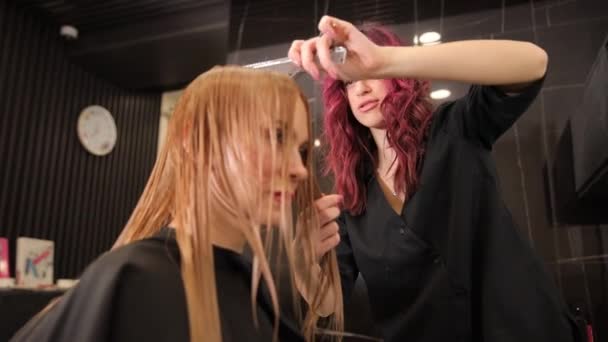 스타일리스트는 여성의 머리를 자르고 살롱에서 새로운 스타일을 만듭니다 클라이언트의 머리를 — 비디오